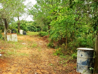 安陽農(nóng)莊采摘園